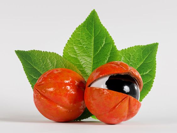 Guarana
